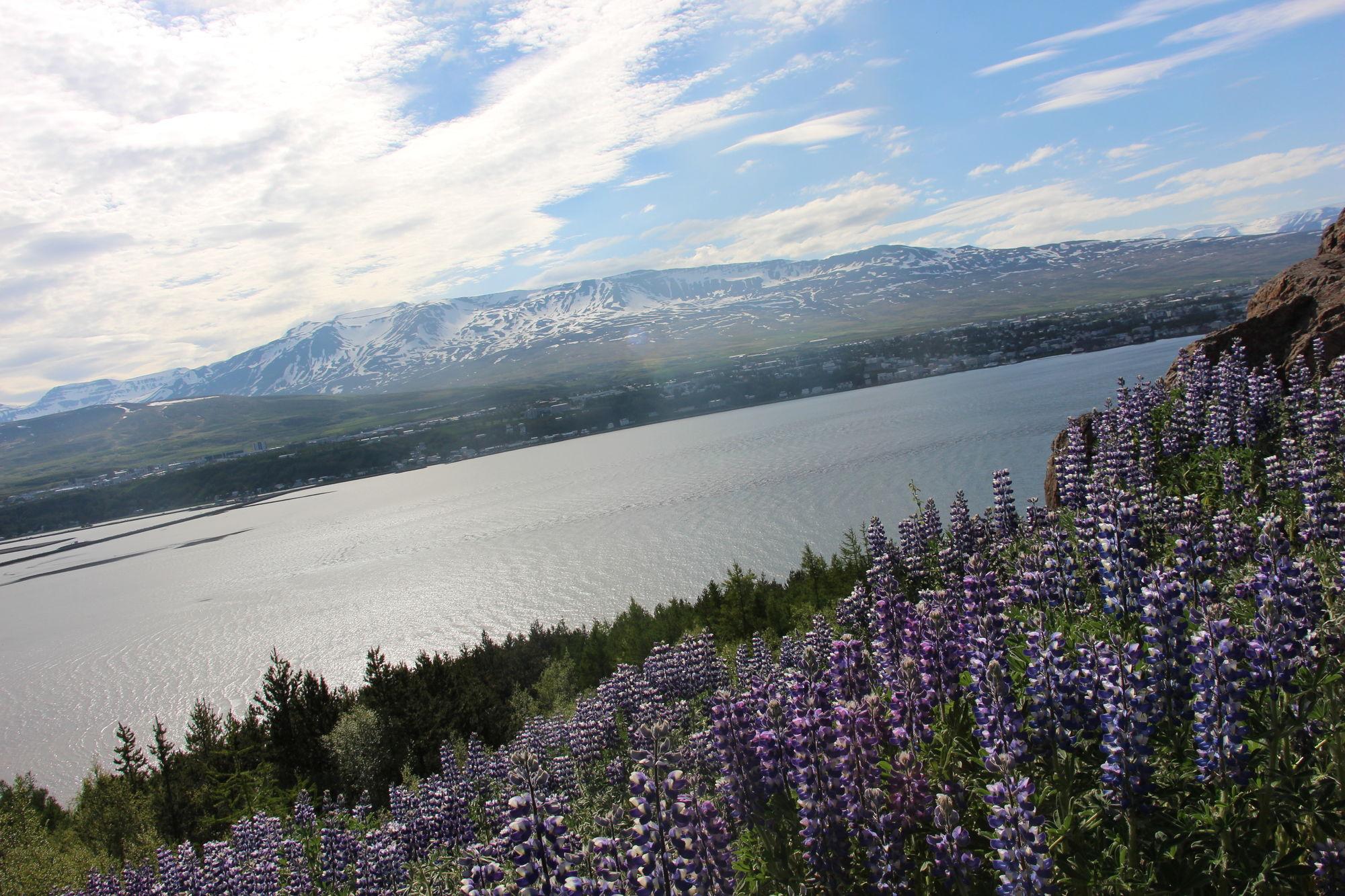 Viking Cottages And Apartments Akureyri Exterior photo